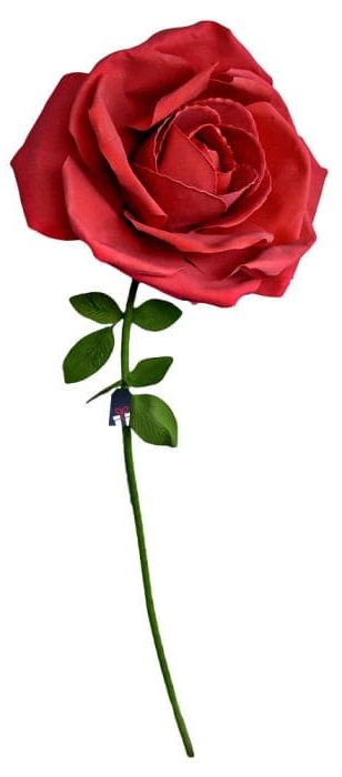 XXL valtava ruusu - Ruusuja lahjaksi naiselle