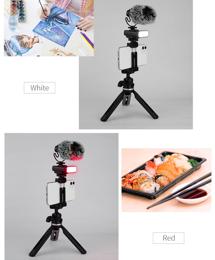 jalusta matkapuhelimelle (selfie-pidike) + mikrofoni ja valo
